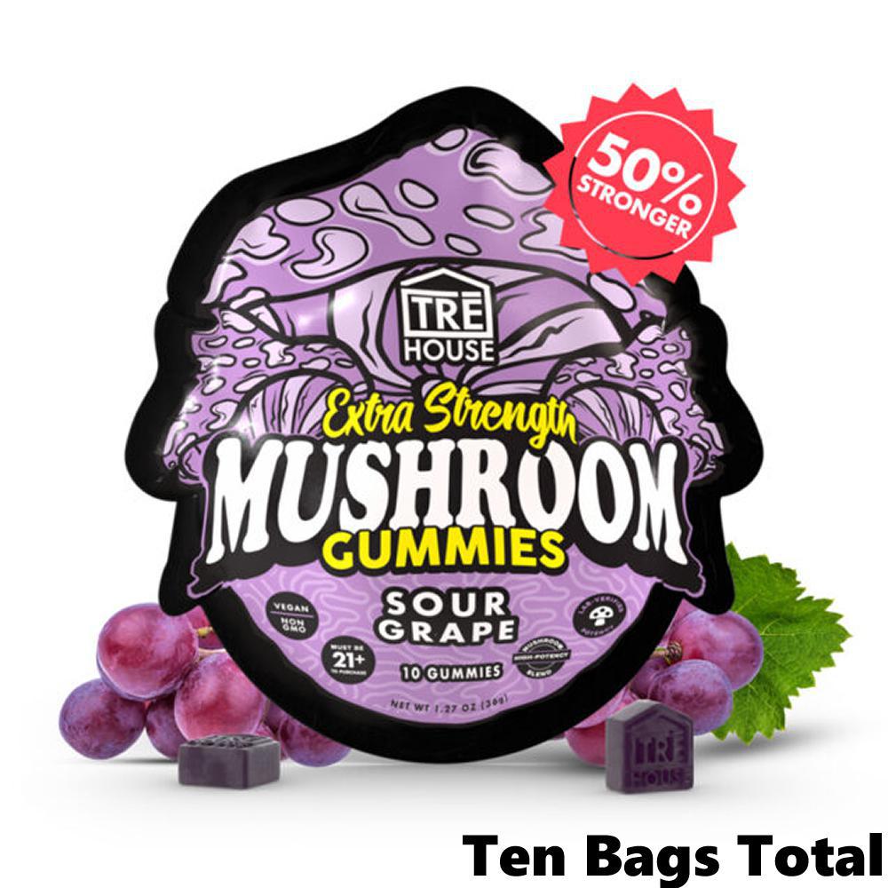 TRE House Extra Strength Mushroom Gummies view 3